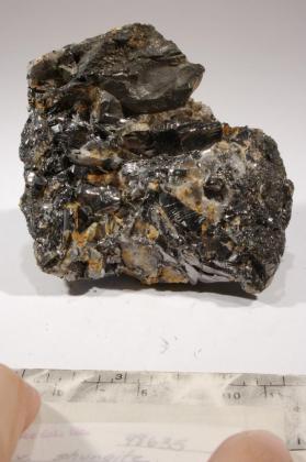 shungite