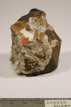 Whewellite