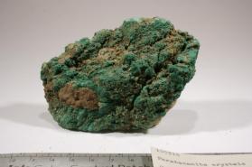 Paratacamite