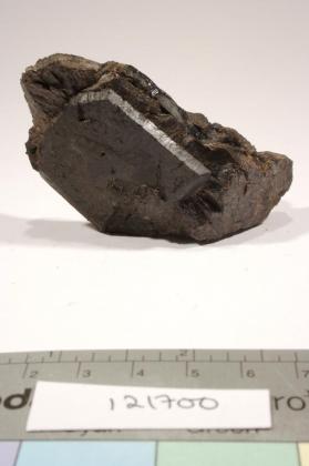 Allanite