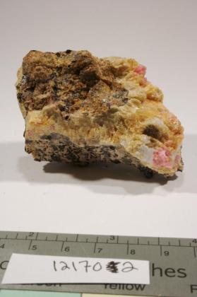 Axinite-(Mn)