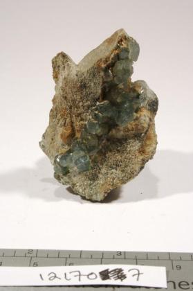 PREHNITE