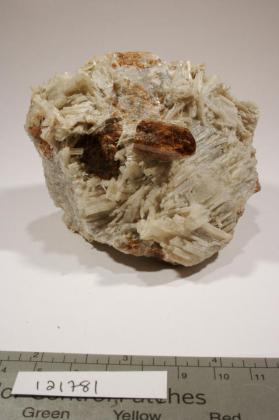 Uvite with TREMOLITE