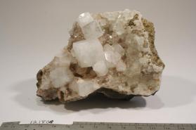 Apophyllite