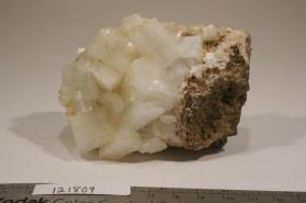 Apophyllite