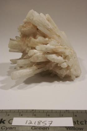 SCOLECITE