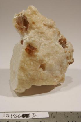 Muscovite