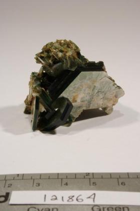 Muscovite