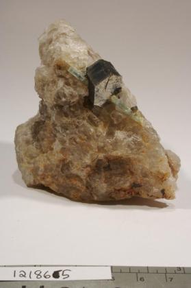Muscovite