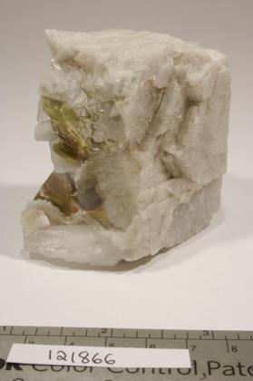 Muscovite