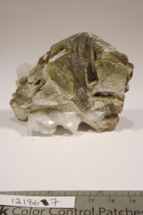 Muscovite