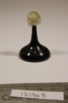 Muscovite
