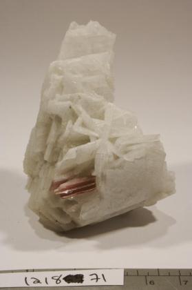 Muscovite