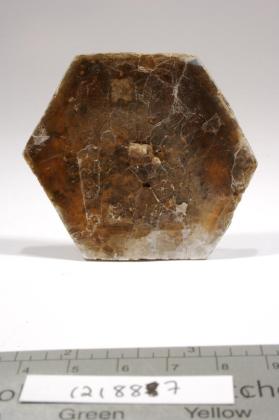 Phlogopite