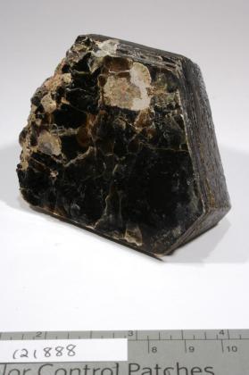 Phlogopite