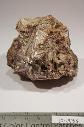 Pyrophyllite