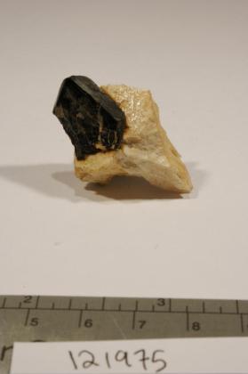 Columbite