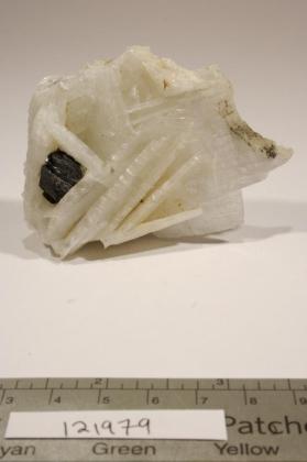 Columbite