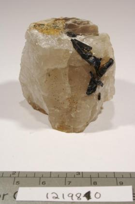 Columbite