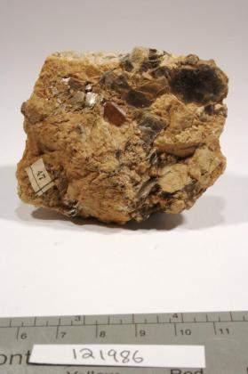 Monazite-(Ce)