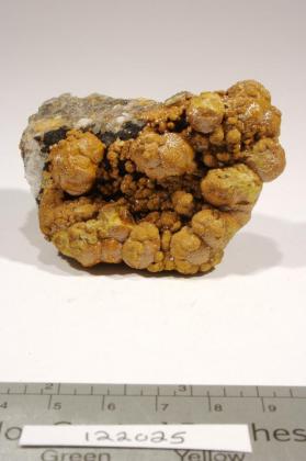 Mimetite