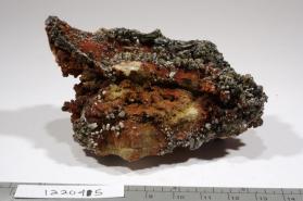 Descloizite with Vanadinite