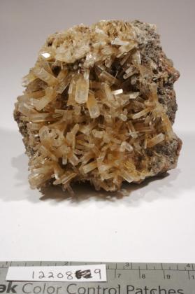 Gypsum