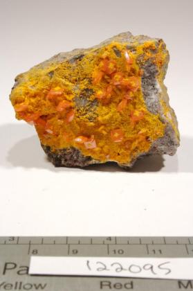 Wulfenite