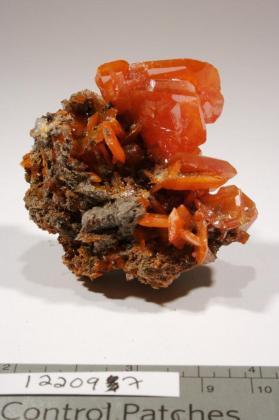 Wulfenite