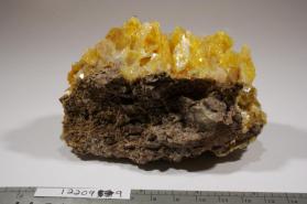 Wulfenite