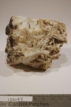 SCOLECITE