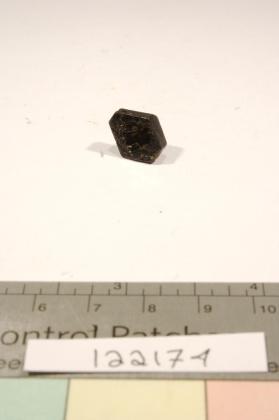 Biotite