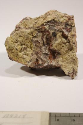 Tocornalite