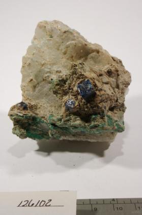 Boleite with Clay (General Term) and Gypsum and Paratacamite