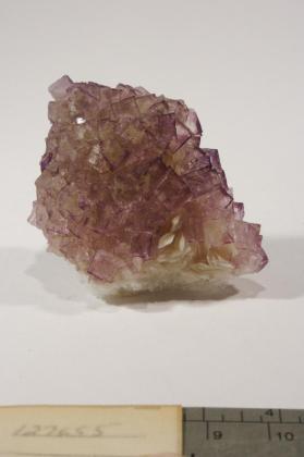 FLUORITE