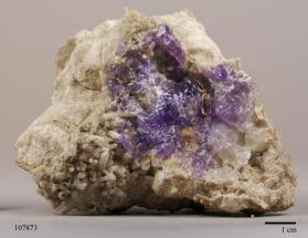 FLUORAPATITE