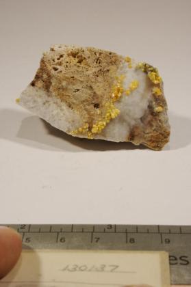 Kleinite