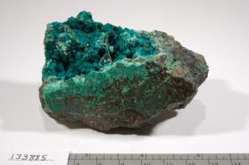 Paratacamite with Dioptase