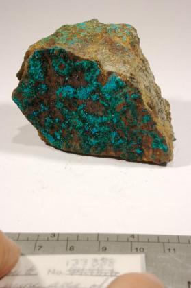 Paratacamite with green mineral and Lavendulan