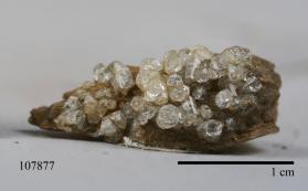 Hydroxylherderite