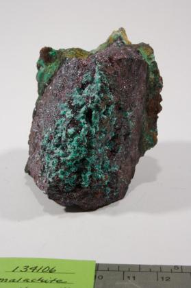 Claringbullite with Atacamite and CUPRITE and MALACHITE and tenorite?