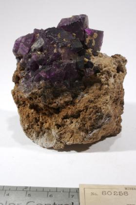 FLUORITE