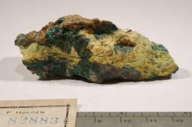 Paratacamite with Atacamite and Caracolite and Schwartembergite