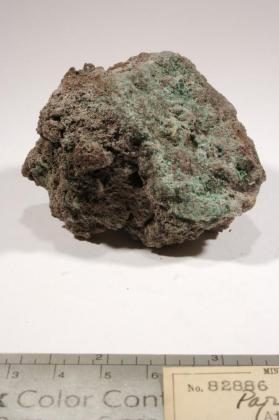 Paratacamite