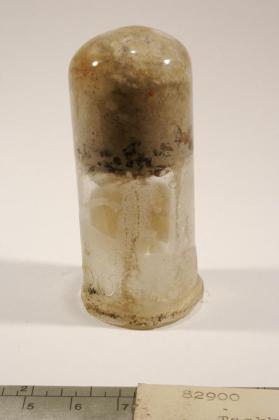 Tachyhydrite