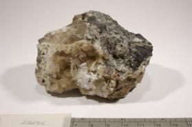 Whewellite