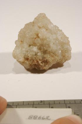 Sylvite