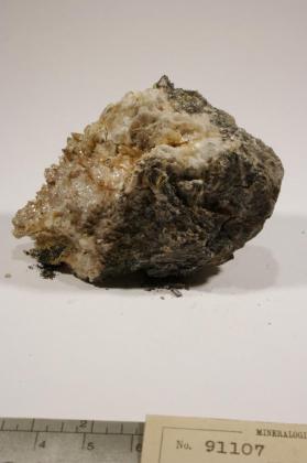 Whewellite