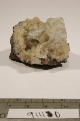 Whewellite