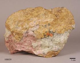 Leucophoenicite with GARNET and WILLEMITE